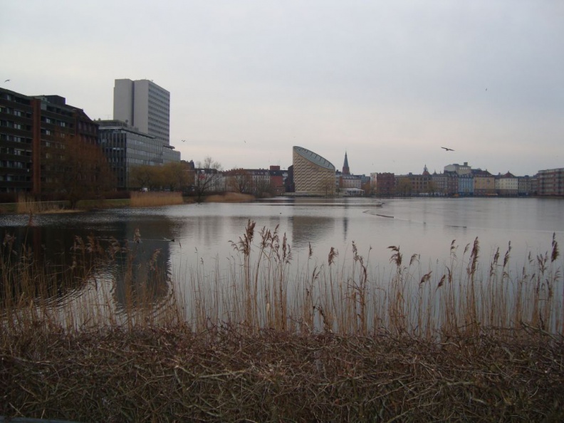 DSC00077.JPG