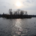 DSC00098.JPG