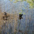 DSC07285.JPG