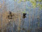 DSC07285.JPG