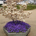 DSC07296.JPG
