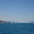 Bredefjorden, stille og med meget is