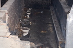 IMG_2463.JPG